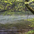 Frühling an der Traun