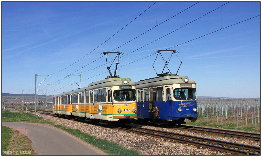 Frühling an der Weinstraße