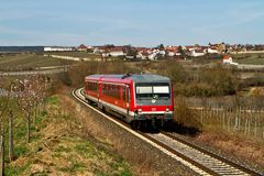 Frühling an der Weinstraße (III)