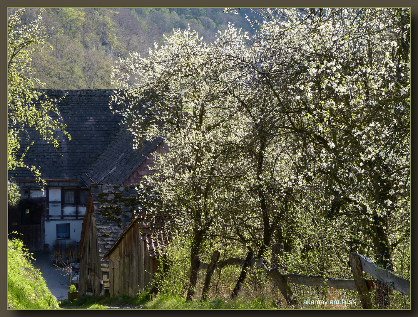 Frühling an der Weser