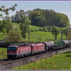 Frühling an der Westbahn