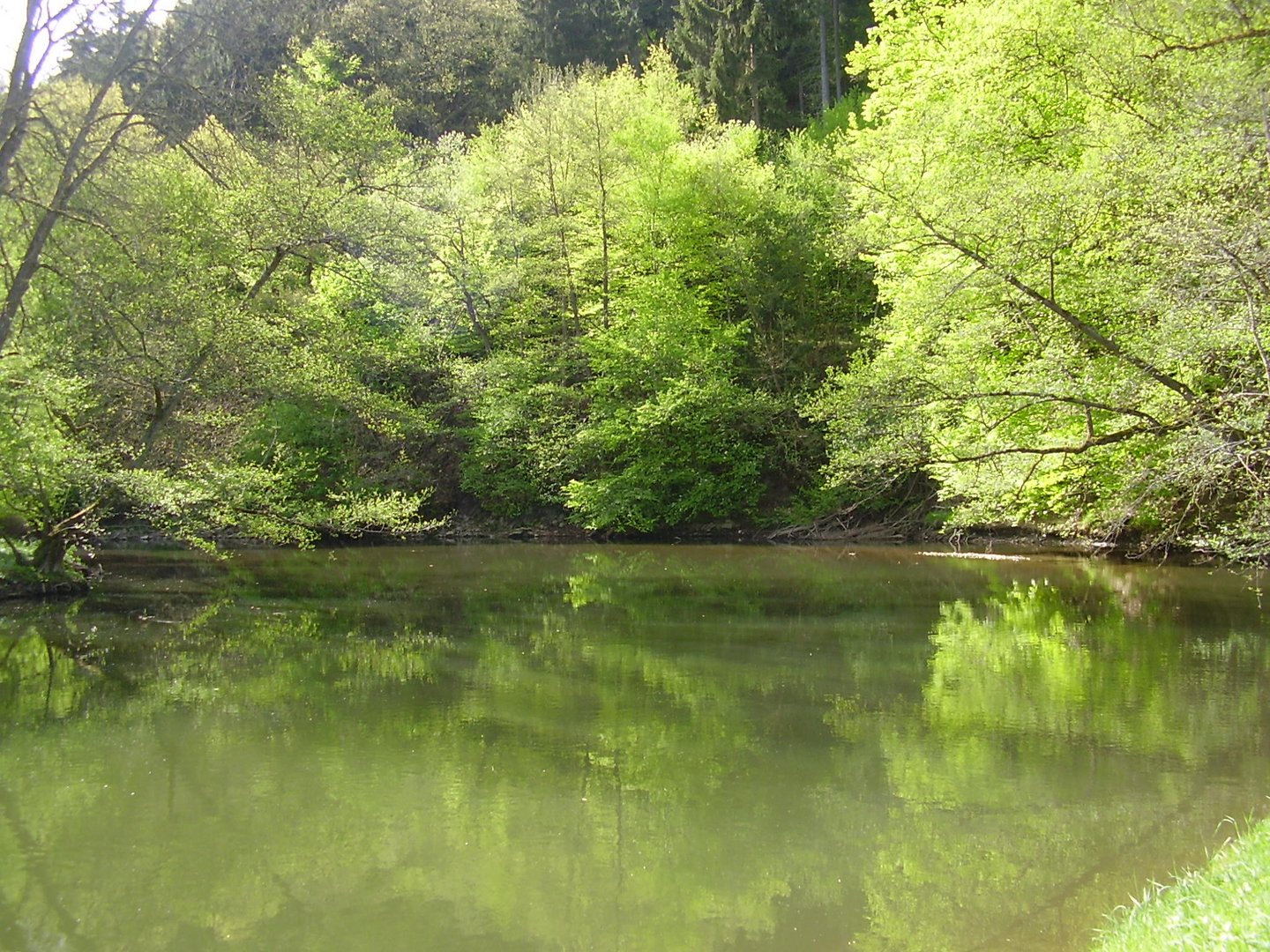 Frühling an der Wied