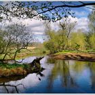 Frühling an der Wümme in Scheeßel