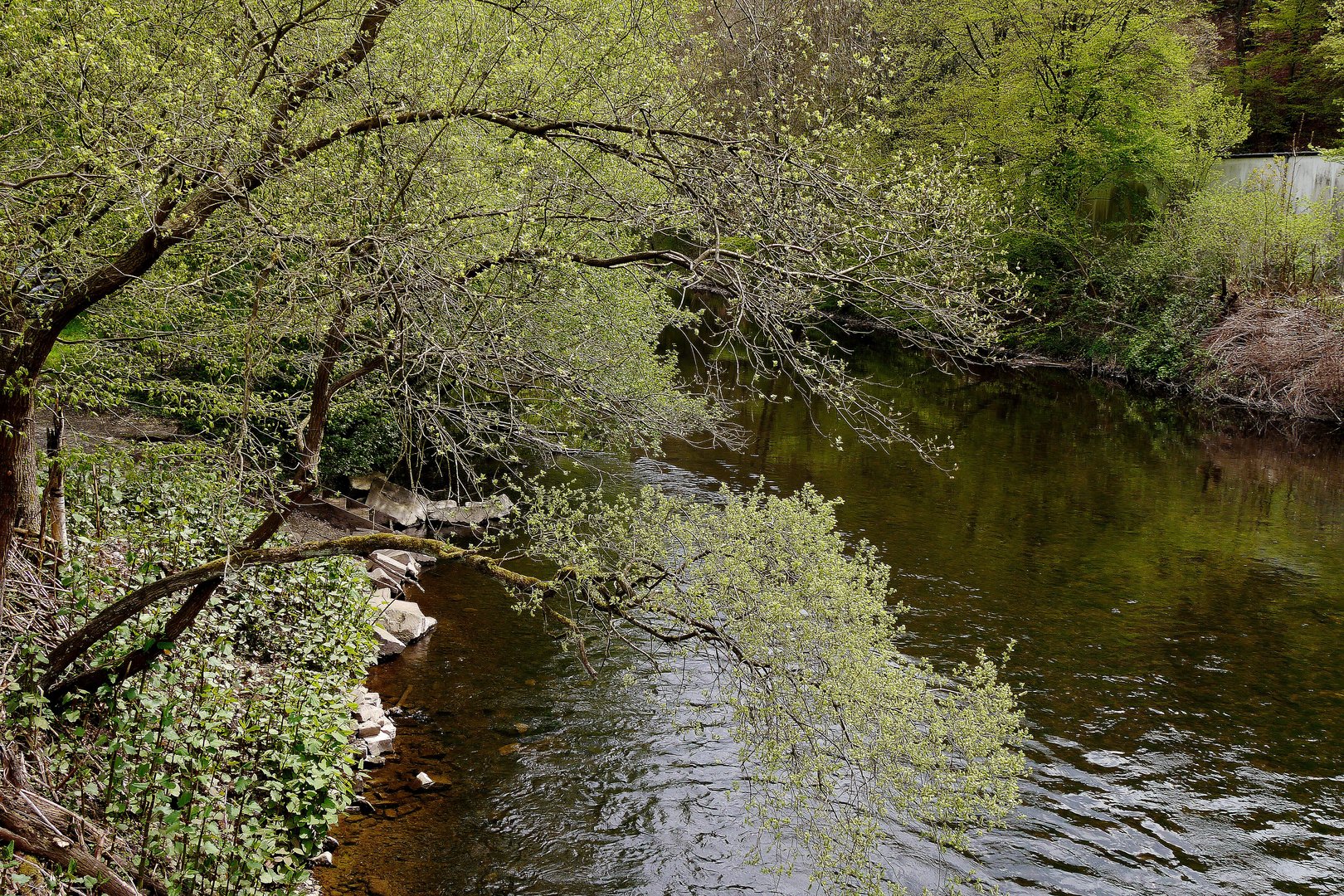 Frühling an der Wupper.