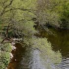 Frühling an der Wupper.