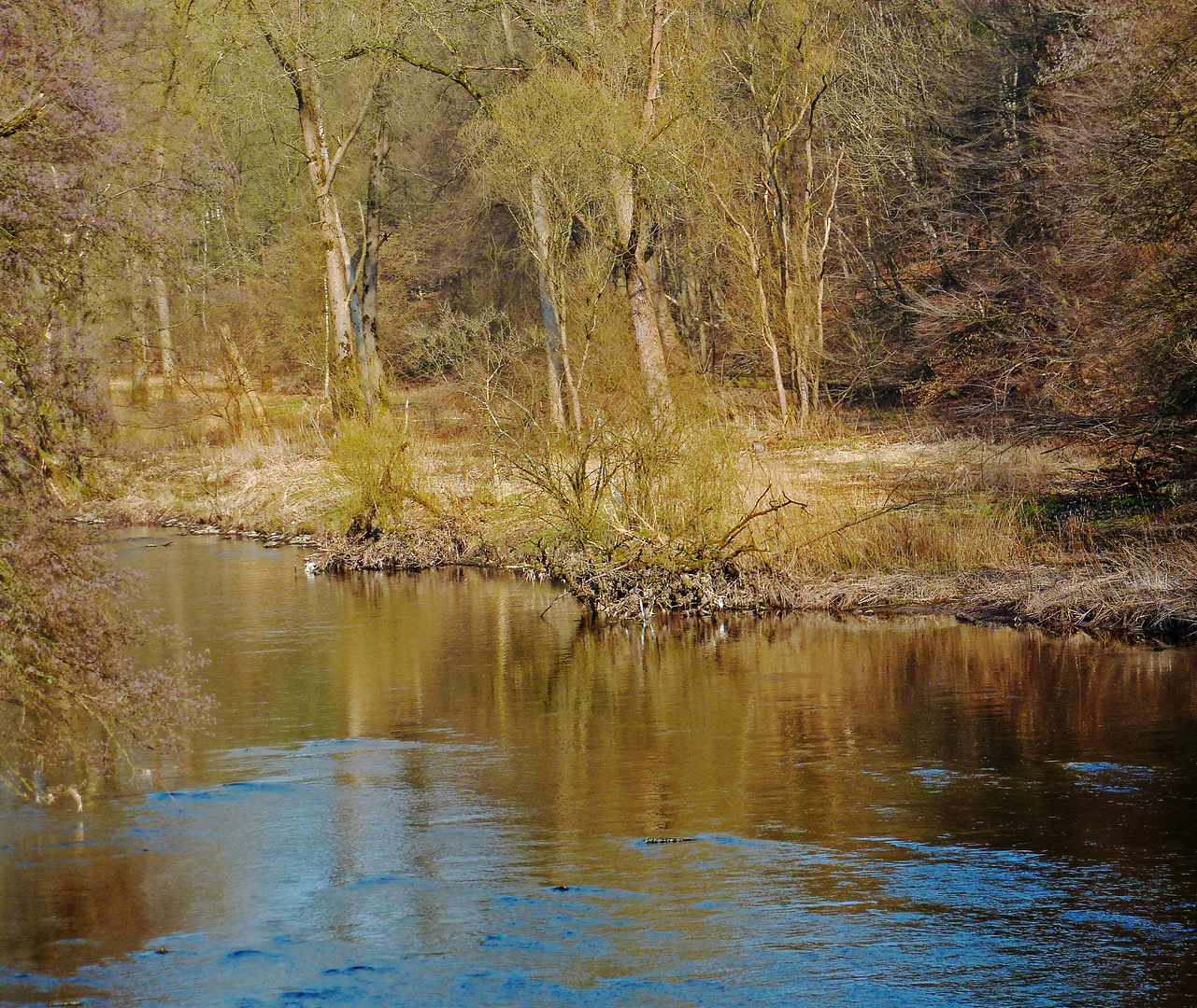 Frühling an der Wupper ....