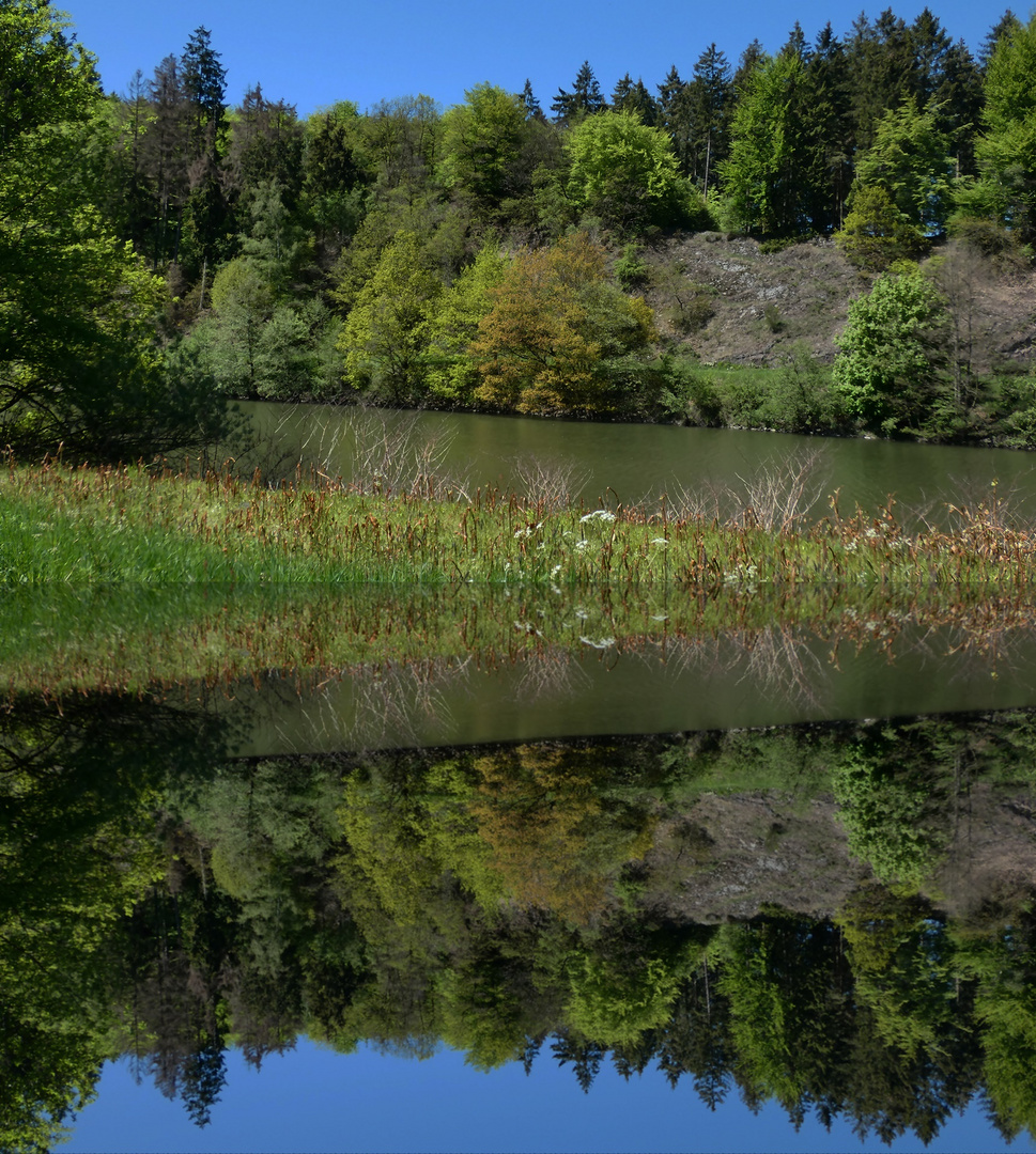 Frühling an der Wupper-Talsperre