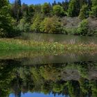 Frühling an der Wupper-Talsperre