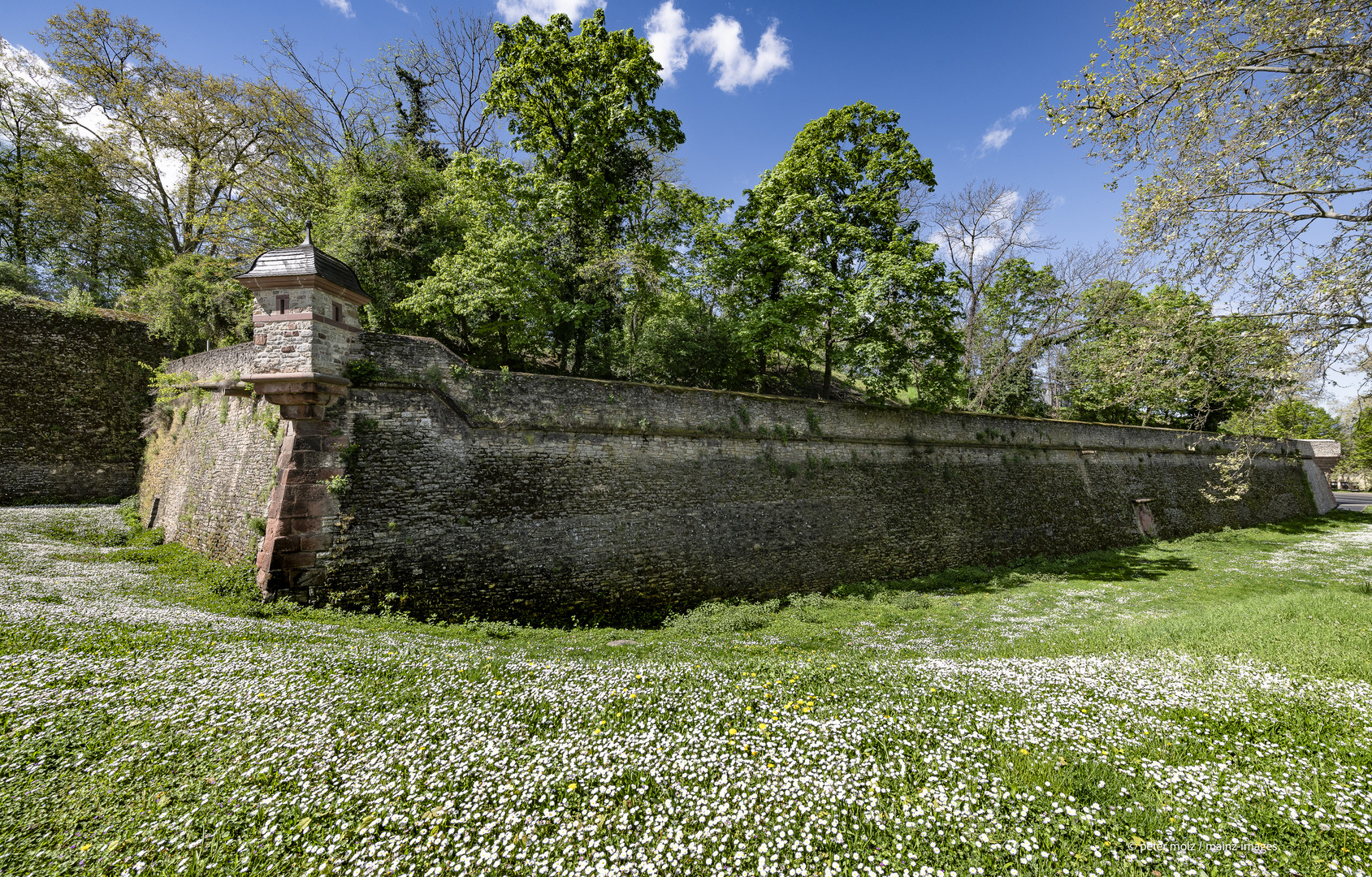 Frühling an der Zitadelle - Blick auf die Bastion Alarm (2) | Mainz