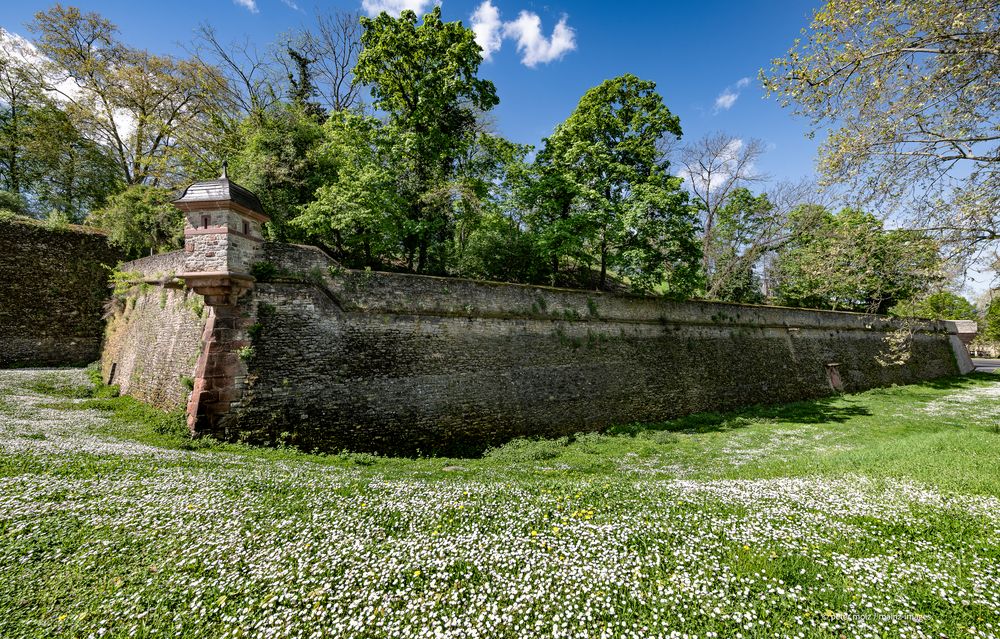 Frühling an der Zitadelle - Blick auf die Bastion Alarm (2) | Mainz