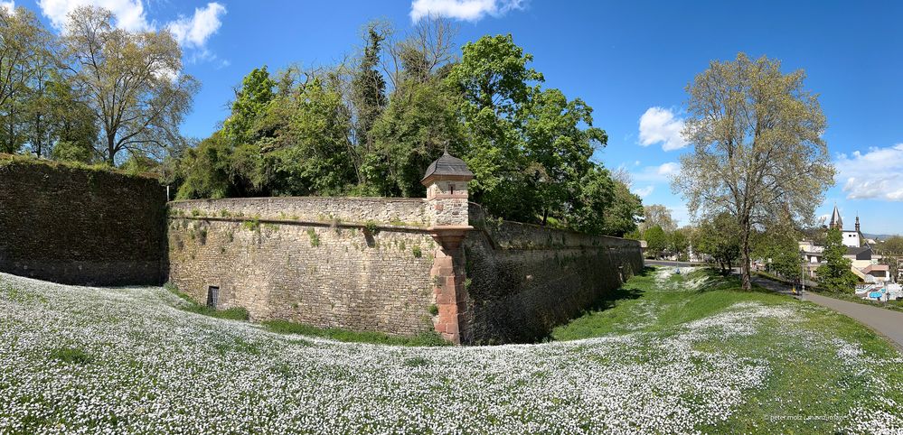 Frühling an der Zitadelle - Blick auf die Bastion Alarm | Mainz