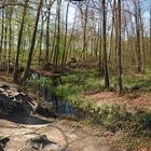 Frühling an einem der "Sieben Weiher"