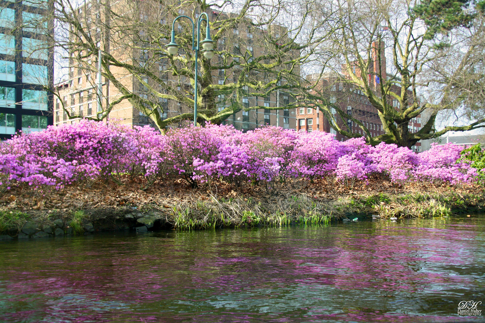 Frühling Anfang März