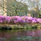 Frühling Anfang März