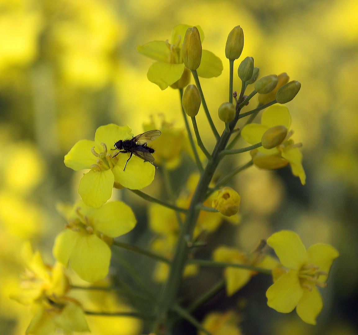 Frühling auch für die Kleinen