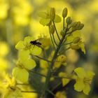 Frühling auch für die Kleinen