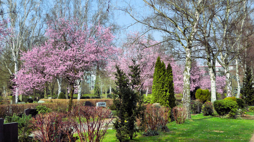 Frühling auch für die Toten