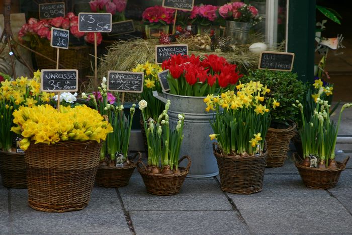 Frühling auch im (vor dem) Blumenladen