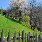 Frühling auf 1400m