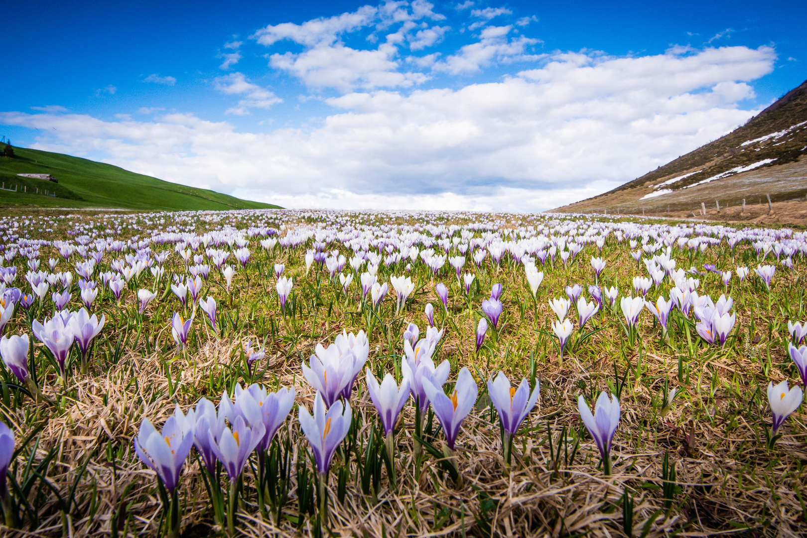 Frühling auf 1800 Meter