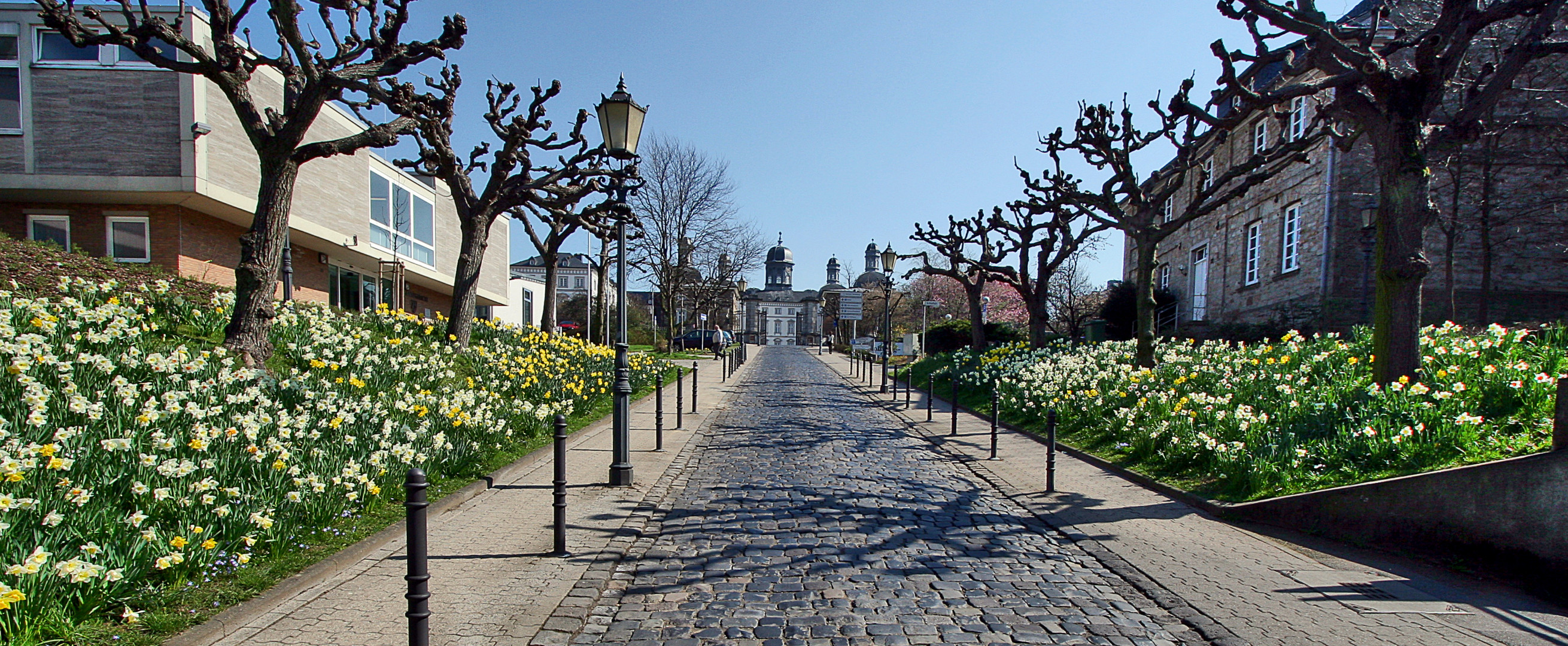 Frühling auf......