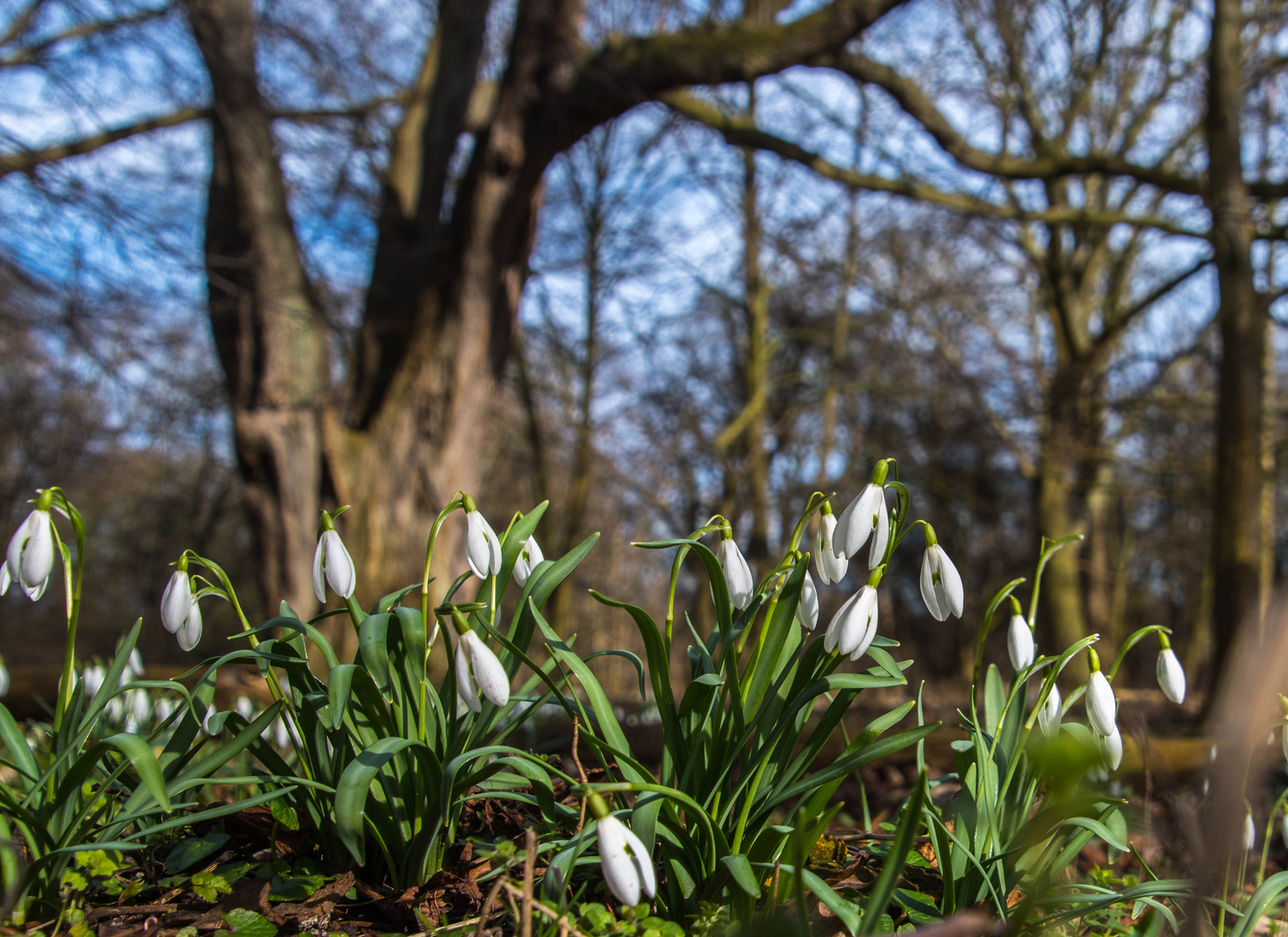 Frühling auf Augenhöhe