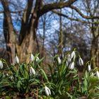 Frühling auf Augenhöhe