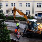 Frühling auf Balkonien.