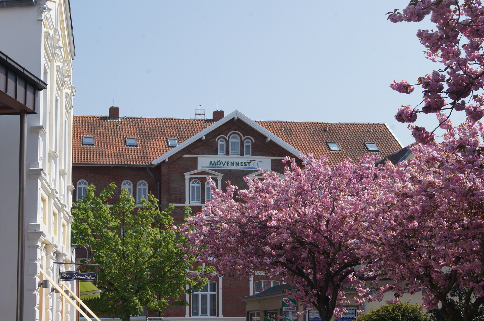 Frühling auf Borkum