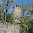 Frühling auf Burg Lichtenberg
