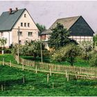 Frühling auf dem Bauernhof