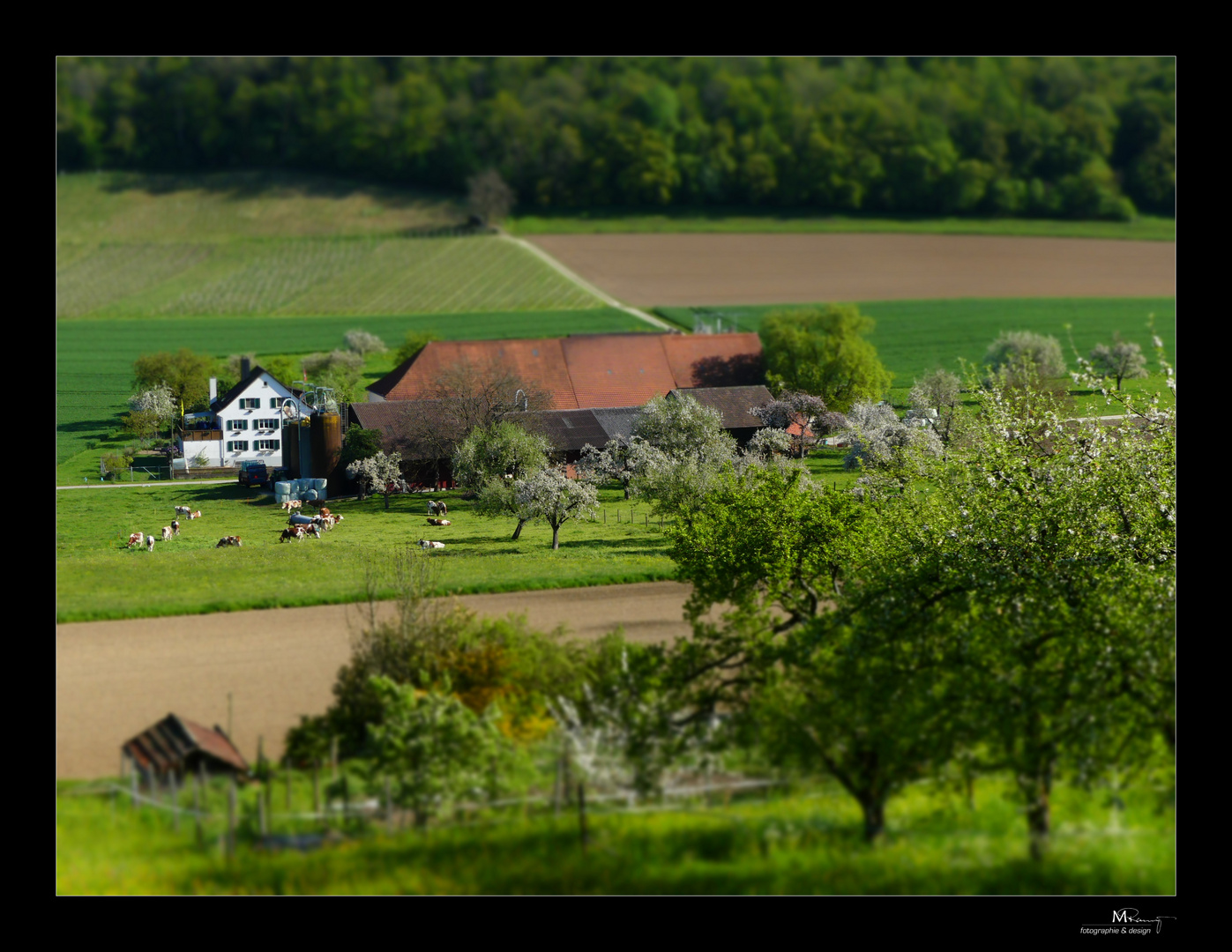 Frühling auf dem Bauernhof