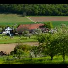 Frühling auf dem Bauernhof