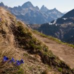 Frühling auf dem Berg 2