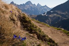 Frühling auf dem Berg 2