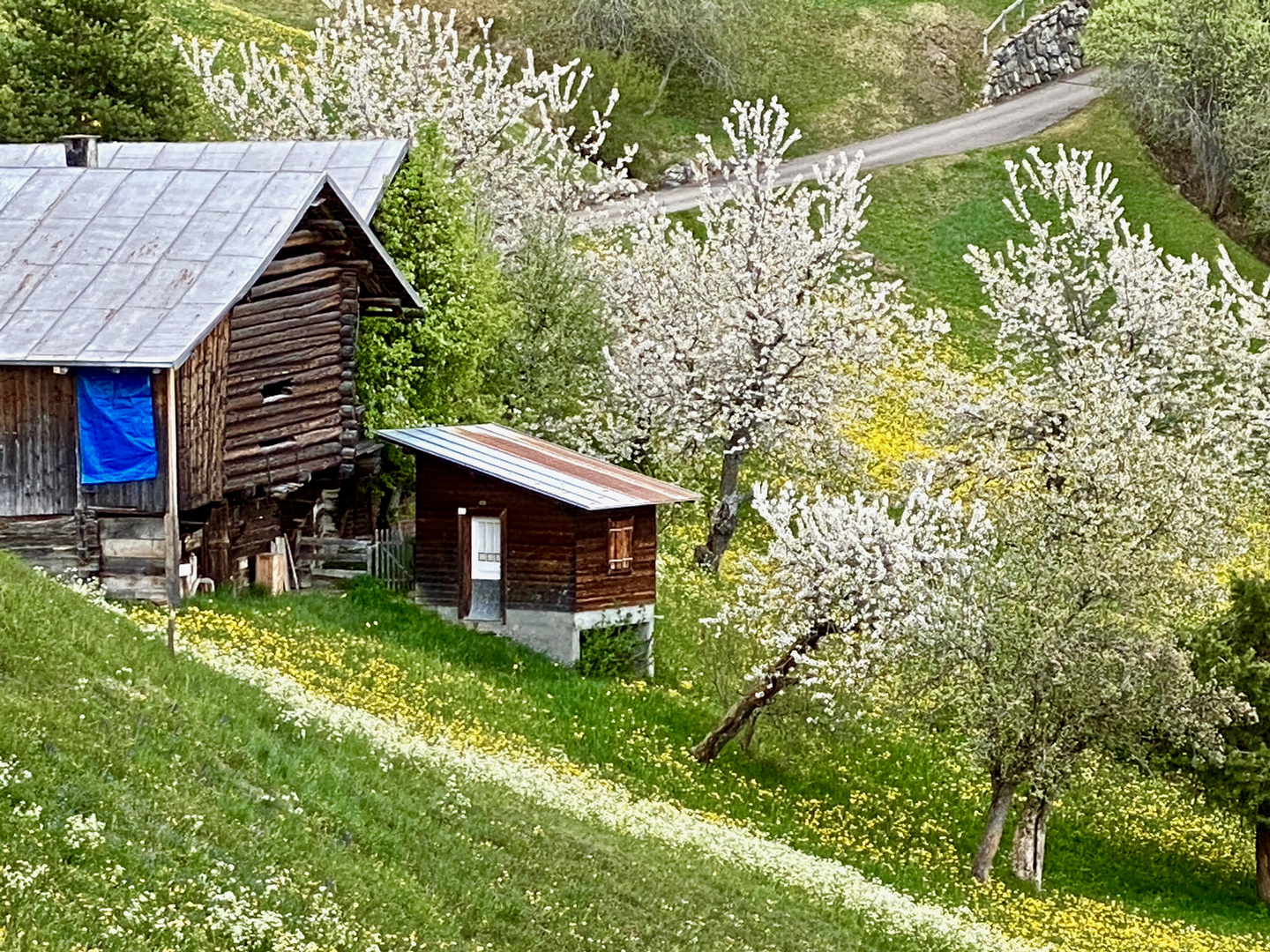 Frühling auf dem Bergbauernhof