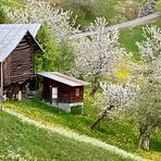 Frühling auf dem Bergbauernhof