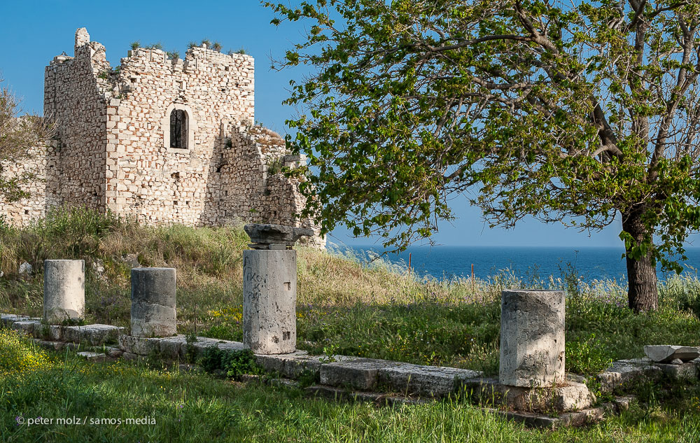 Frühling auf dem Burghügel - Pythagorio, Samos