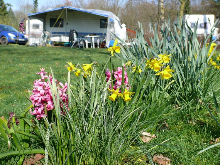 Frühling auf dem Campingplatz