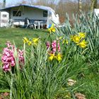 Frühling auf dem Campingplatz