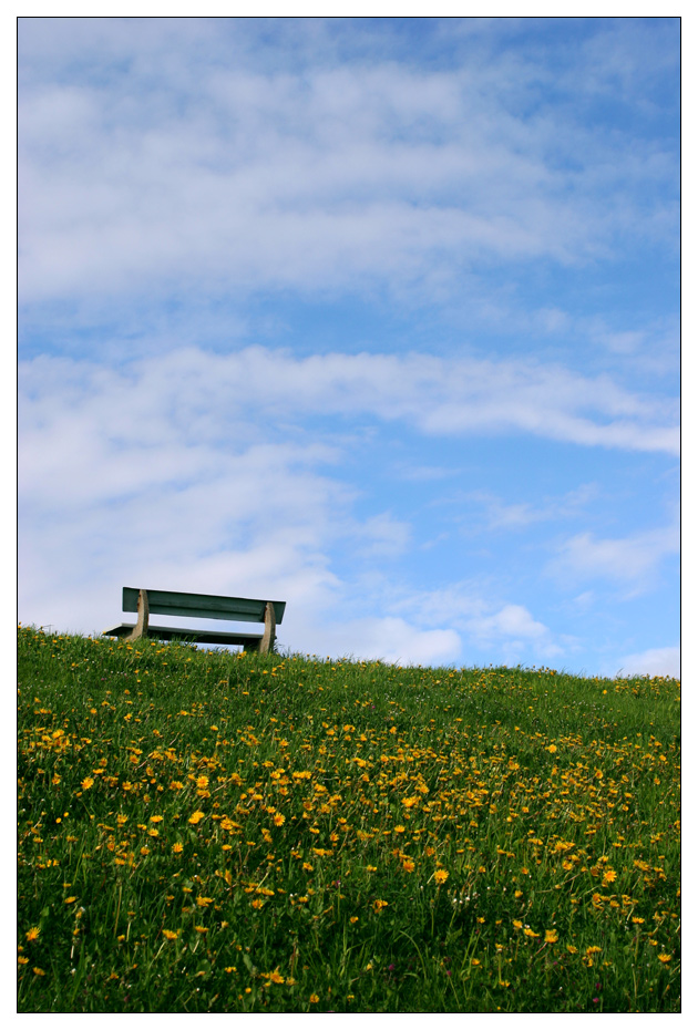 Frühling auf dem Deich