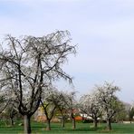 Frühling auf dem Dorf