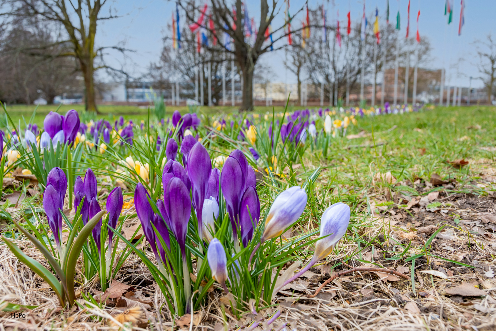 Frühling auf dem Europaplatz