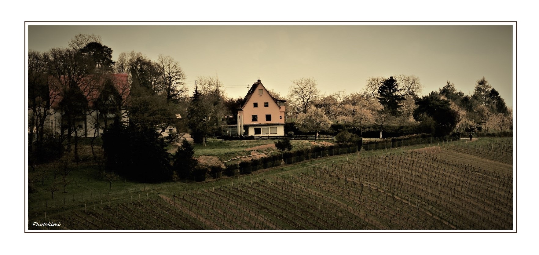 Frühling auf dem Freudenberg