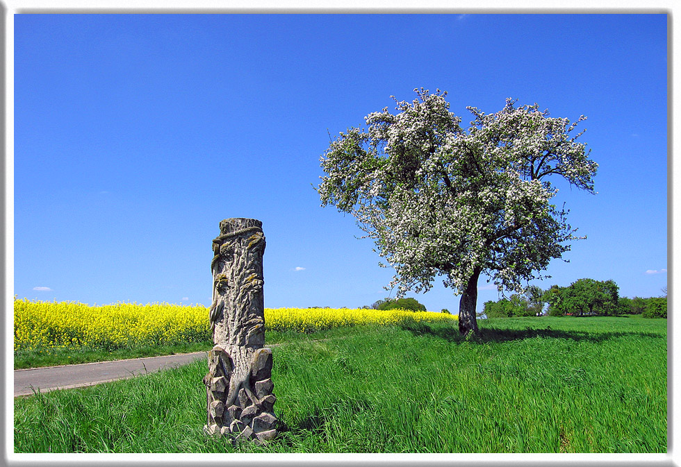 Frühling auf dem Gau 1