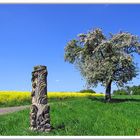 Frühling auf dem Gau 1