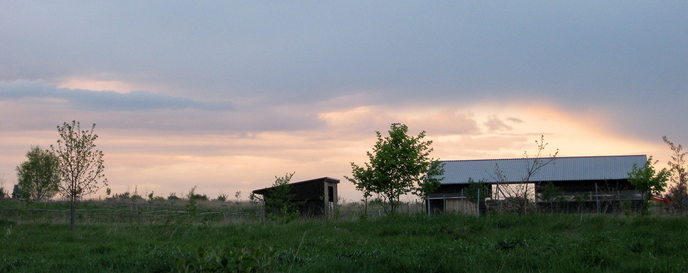 Frühling auf dem Gut II