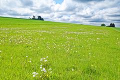 Frühling auf dem Hangarder Flur  (2)