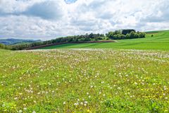 Frühling auf dem Hangarder Flur  (4)