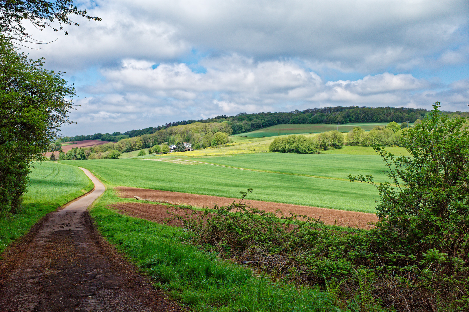 Frühling auf dem Hangarder Flur